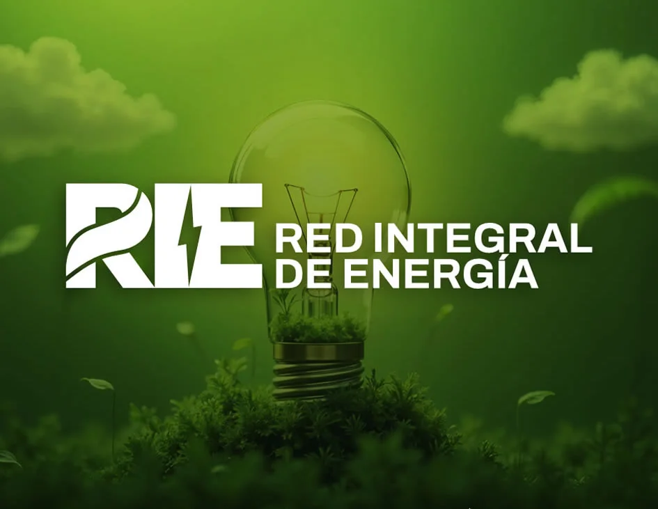 Consultoría energética para industria y grandes consumidores en México